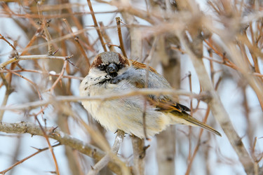 Similar image 21302389