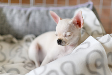 Similar image 21302391