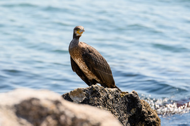 Similar image 21302415