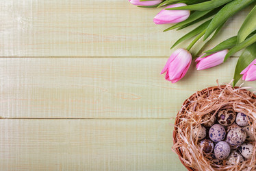 Similar image 21298502