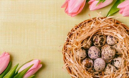 Similar image 21298514