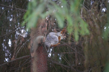 Similar image 21299700