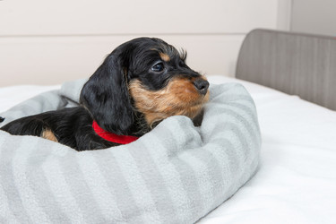 Similar image 21298570