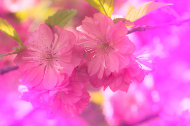 Similar image 21302660