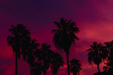 Similar image 21298583