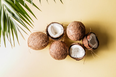 Similar image 21297667