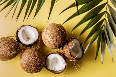 Similar image 21297669