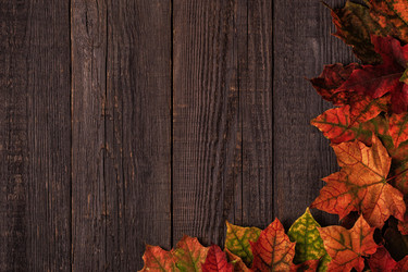 Similar image 21297674