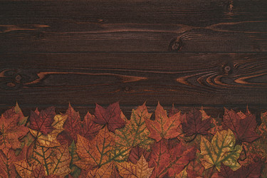 Similar image 21297676