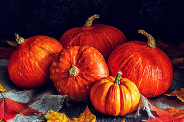 Similar image 21297678