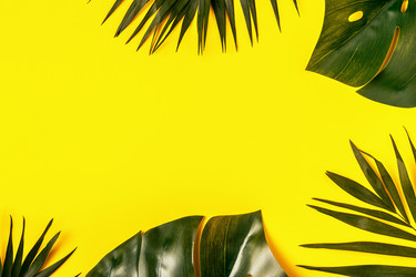 Similar image 21296844