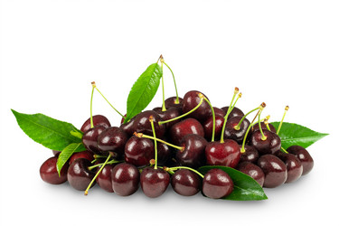 Similar image 21299710