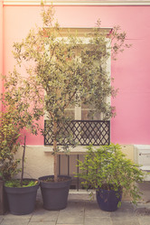 Similar image 21297042