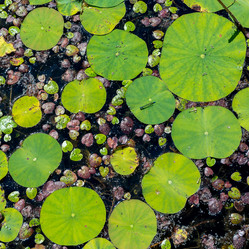 Similar image 21297537