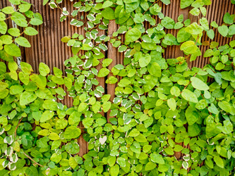 Similar image 21297538