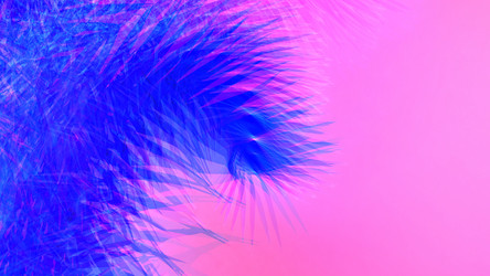 Similar image 21297561