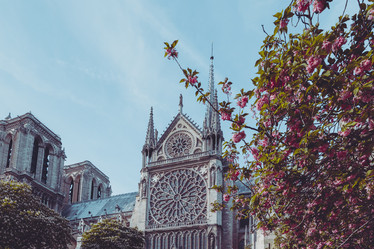 Similar image 21297708