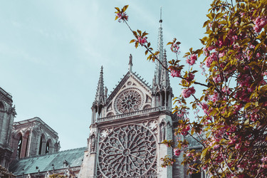 Similar image 21297710