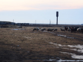 Similar image 21299714