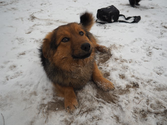 Similar image 21299718