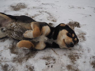 Similar image 21299719