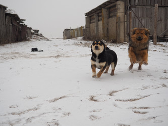 Similar image 21299720