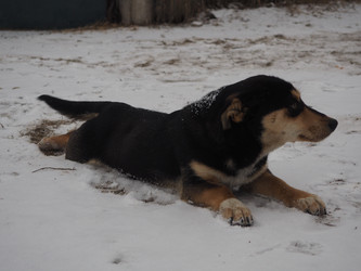 Similar image 21299721