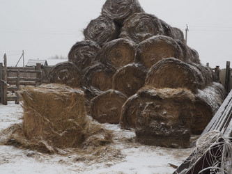 Similar image 21299724