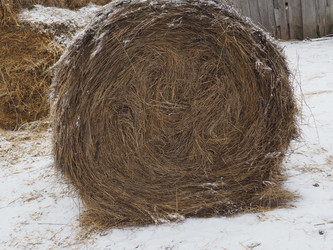 Similar image 21299725