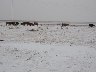 Similar image 21299880