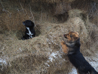 Similar image 21299882