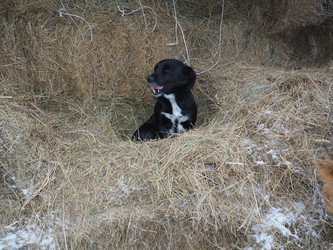 Similar image 21299883