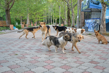 Similar image 21299728