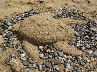 Similar image 21299076