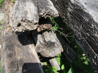 Similar image 21299077