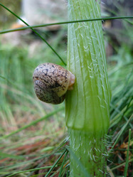 Similar image 21299078