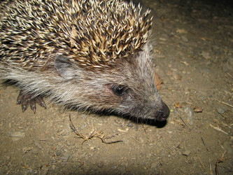 Similar image 21299079