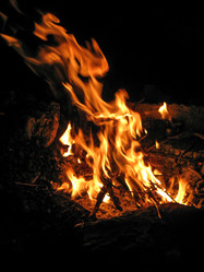 Similar image 21299091