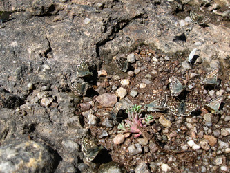 Similar image 21299094