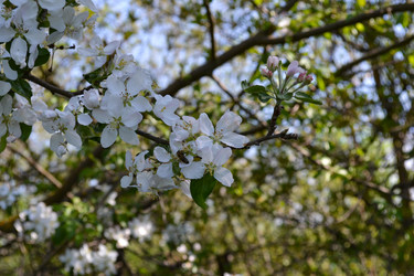 Similar image 21299098