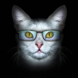 Similar image 21302420