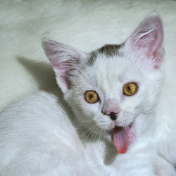 Similar image 21302432