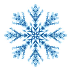 Similar image 21302440