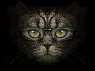 Similar image 21302444