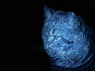 Similar image 21302465