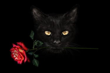 Similar image 21302468