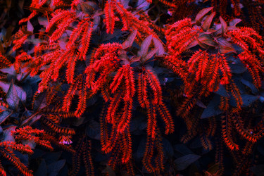 Similar image 21302472