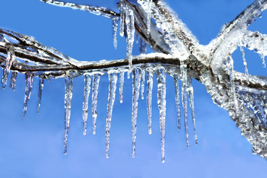 Similar image 21302475