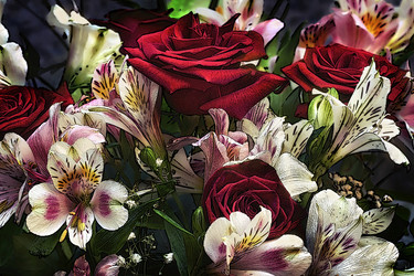 Similar image 21302477