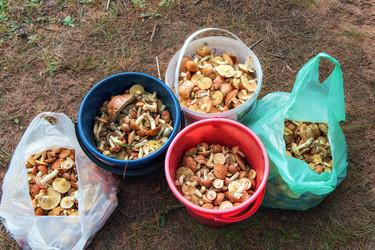 Similar image 21302478